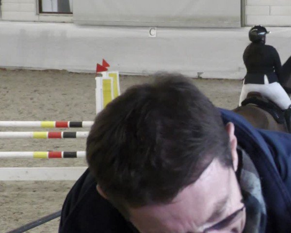 Reitturnier Zweibrücken - Halle 2025