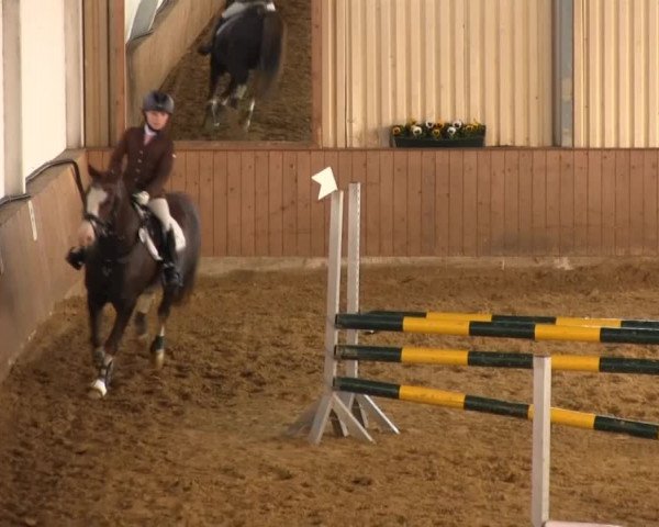 Reitstall Brinkmann 2013