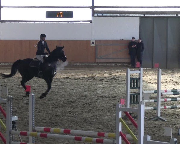 Reitturnier Datteln 2025