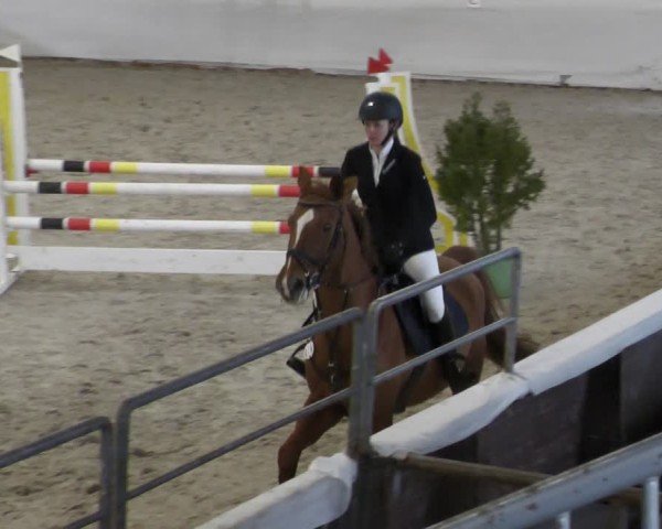 Reitturnier Zweibrücken - Halle 2025