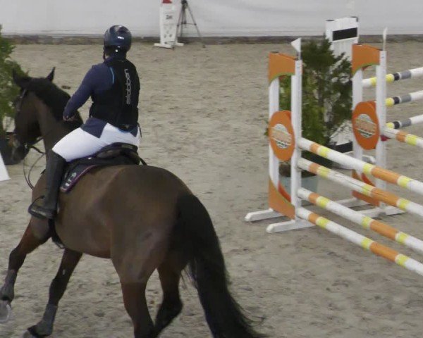 Reitturnier Zweibrücken - Halle 2025