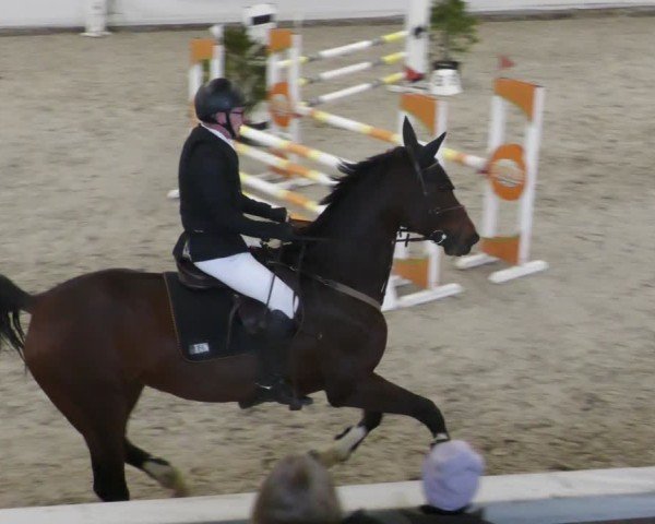 Reitturnier Zweibrücken - Halle 2025