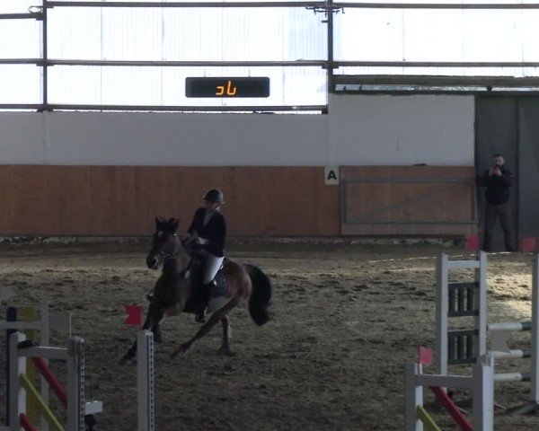 Reitturnier Datteln 2025