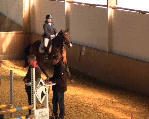 Reitstall Brinkmann 2013