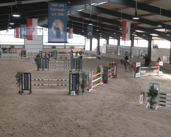 Reitturnier Borken (Hessen) 2025