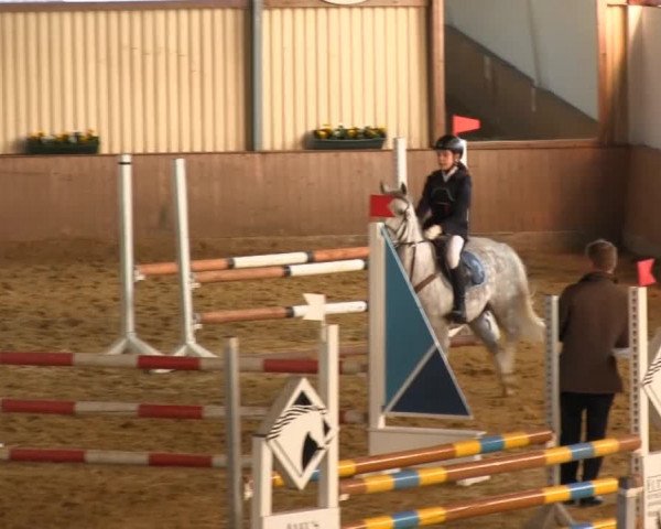 Reitstall Brinkmann 2013