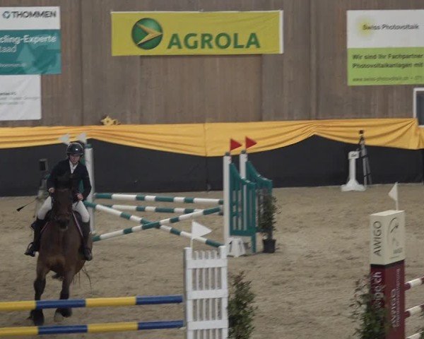 Reitturnier Erlen 2025