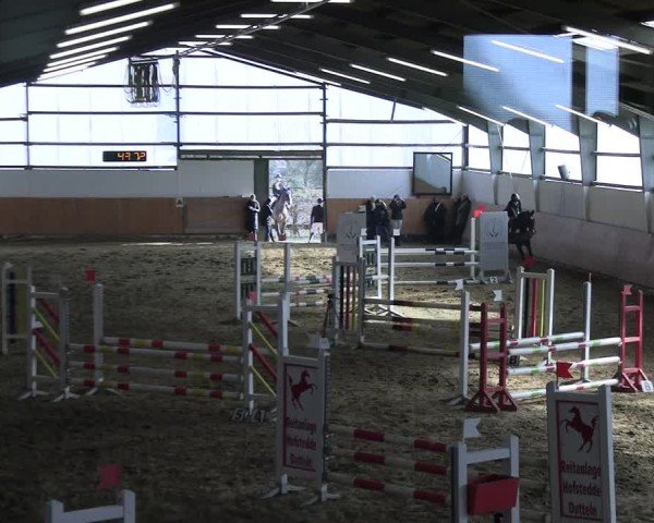 Reitturnier Datteln 2025
