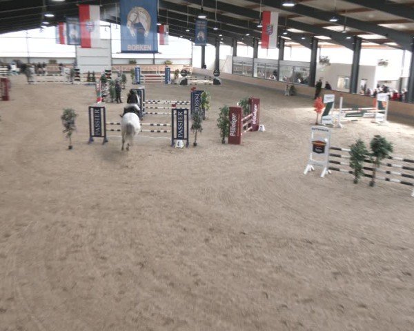 Reitturnier Borken (Hessen) 2025
