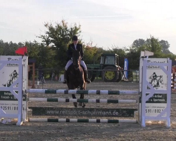 Reitstall Brinkmann 2013