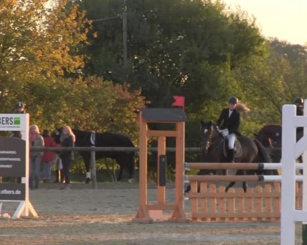 Reitstall Brinkmann 2013