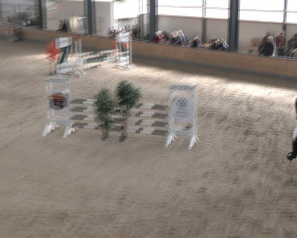 Reitturnier Borken (Hessen) 2025