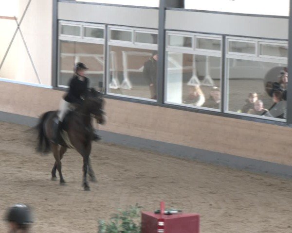 Reitturnier Borken (Hessen) 2025