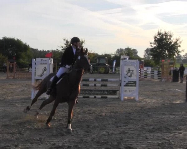 Reitstall Brinkmann 2013