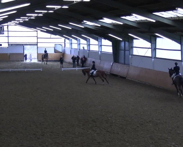 Reitturnier Datteln 2025