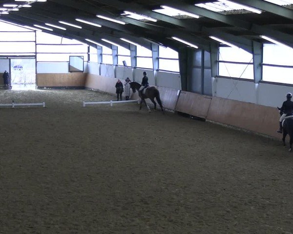 Reitturnier Datteln 2025