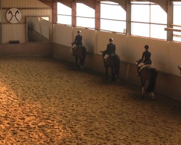 Reitstall Brinkmann 2013