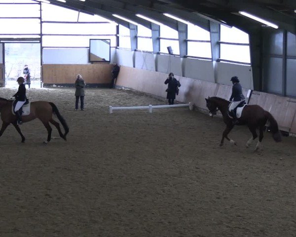 Reitturnier Datteln 2025
