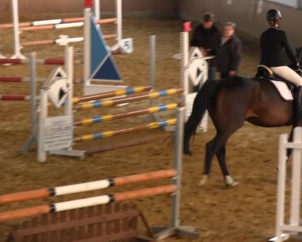 Reitstall Brinkmann 2013