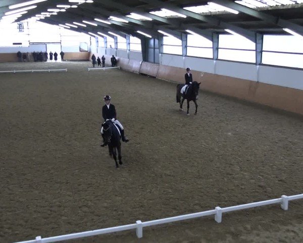 Reitturnier Datteln 2025
