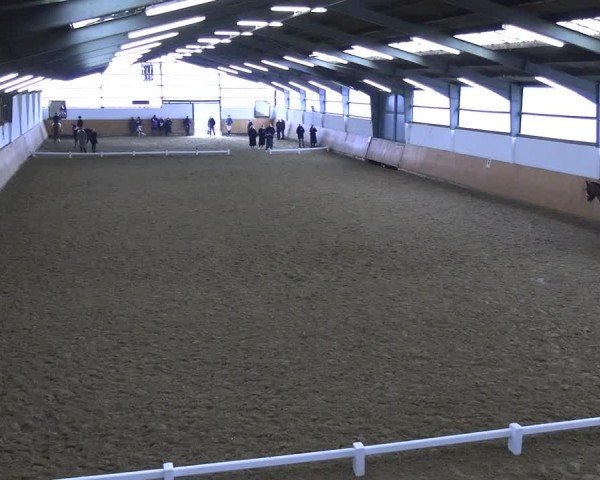 Reitturnier Datteln 2025