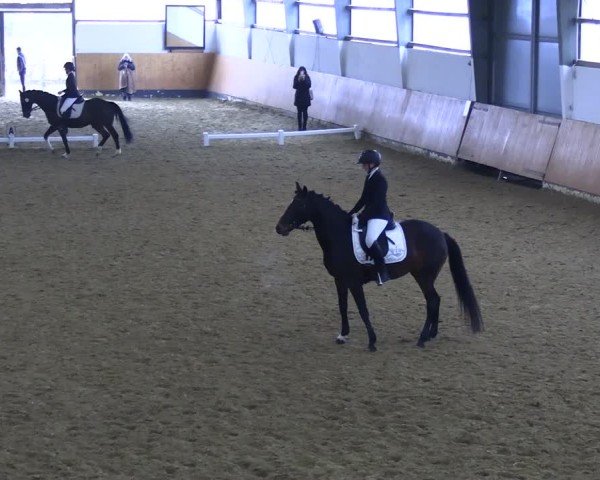 Reitturnier Datteln 2025