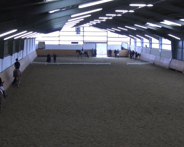 Reitturnier Datteln 2025