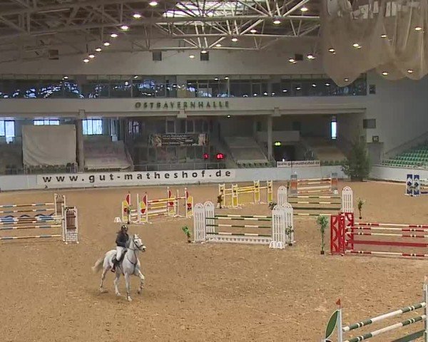 Reitturnier Kreuth/Opf. 2025