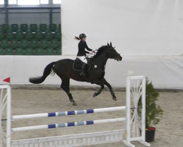 Reitturnier Zweibrücken - Halle 2025