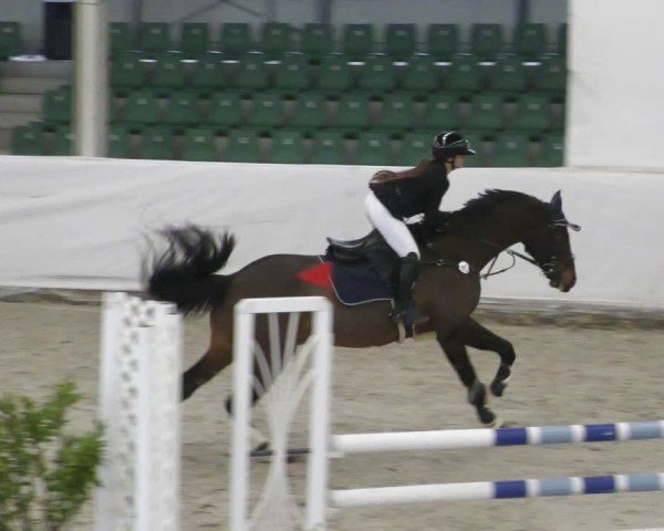 Reitturnier Zweibrücken - Halle 2025