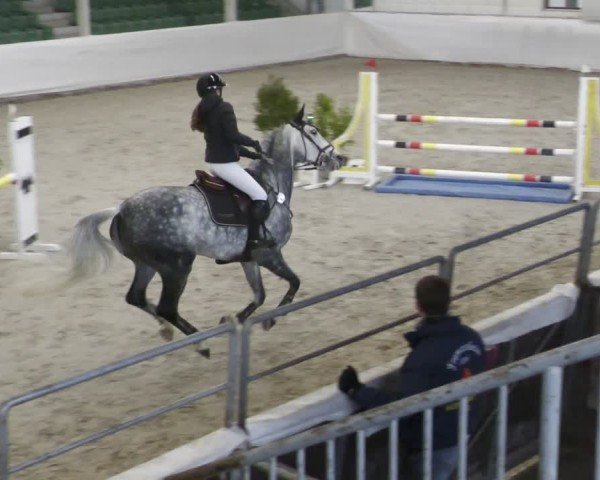 Reitturnier Zweibrücken - Halle 2025