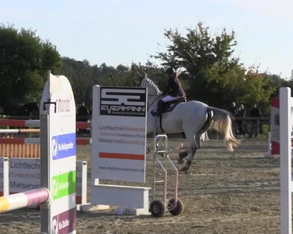 Reitstall Brinkmann 2013