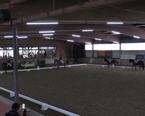Reitturnier Sieversen - Rosengarten 2025