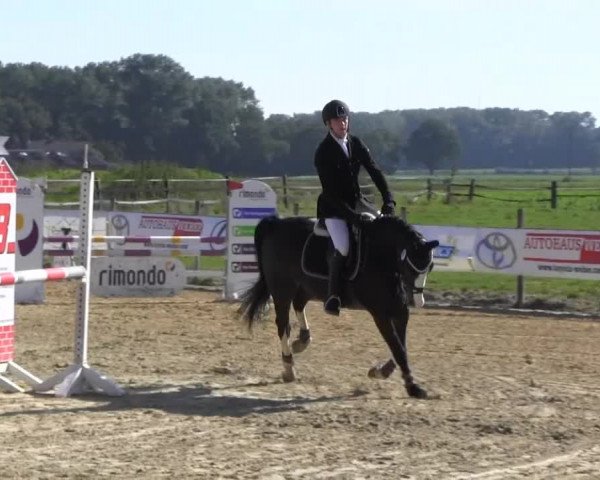 Reitstall Brinkmann 2013