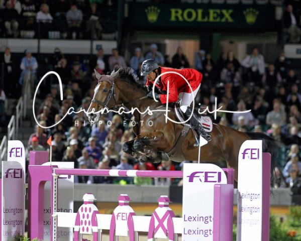 broodmare Uleika (KWPN (Royal Dutch Sporthorse), 2001, from Broere Atlantic)
