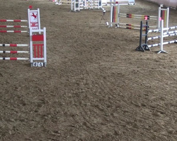 Reitturnier Datteln 2025