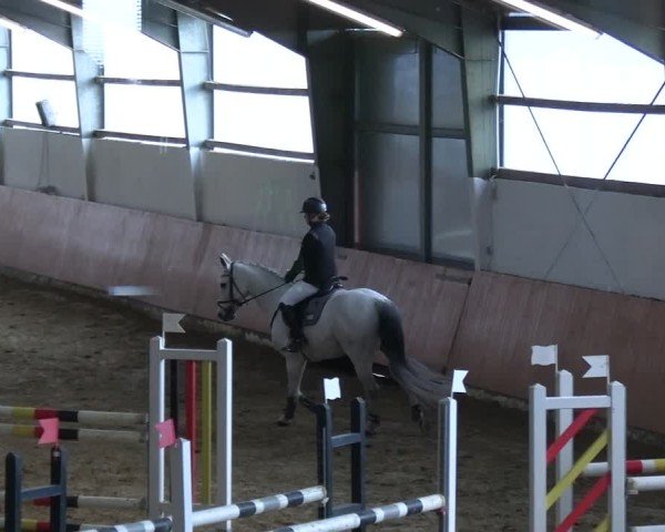 Reitturnier Datteln 2025