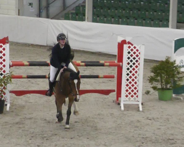 Reitturnier Zweibrücken - Halle 2025