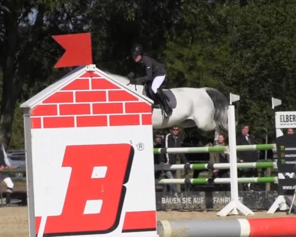 Reitstall Brinkmann 2013