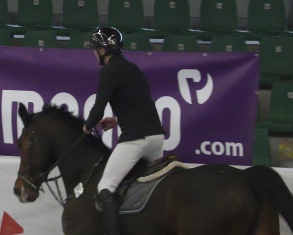 Reitturnier Zweibrücken - Halle 2025