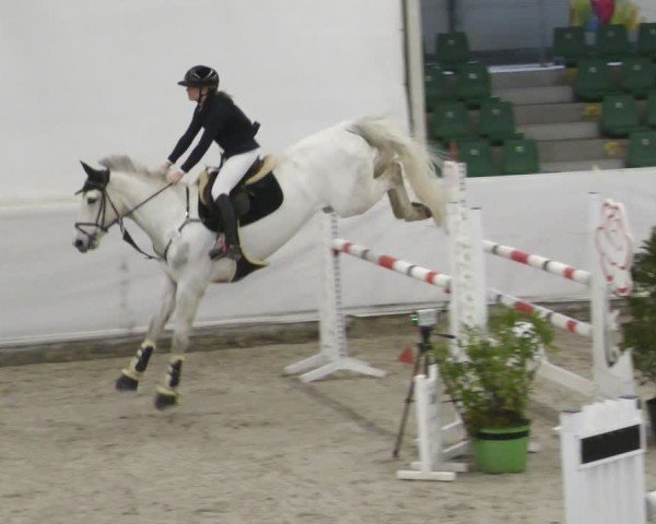 Reitturnier Zweibrücken - Halle 2025