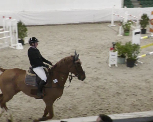 Reitturnier Zweibrücken - Halle 2025