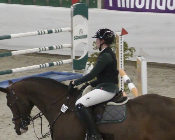 Reitturnier Zweibrücken - Halle 2025