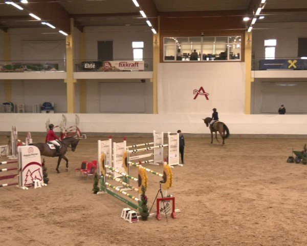 Reitturnier Stadl-Paura 2025
