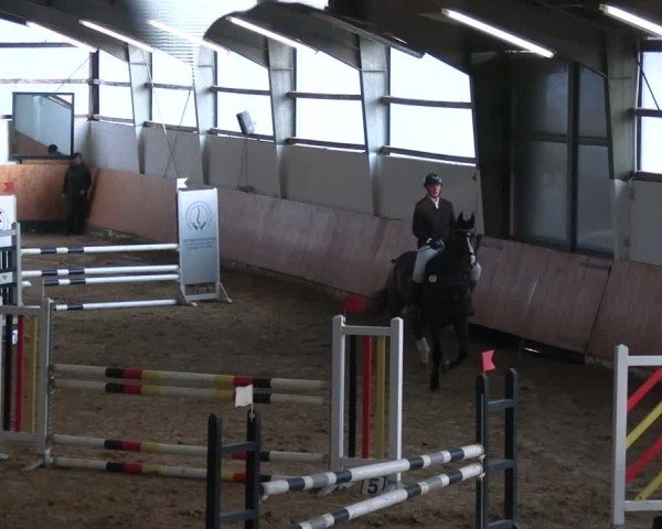 Reitturnier Datteln 2025