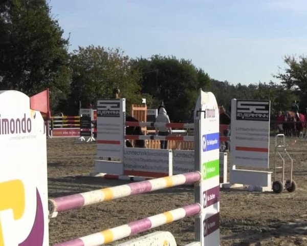 Reitstall Brinkmann 2013