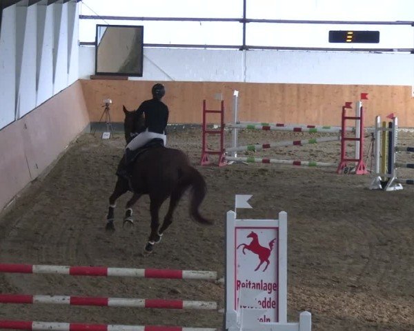 Reitturnier Datteln 2025