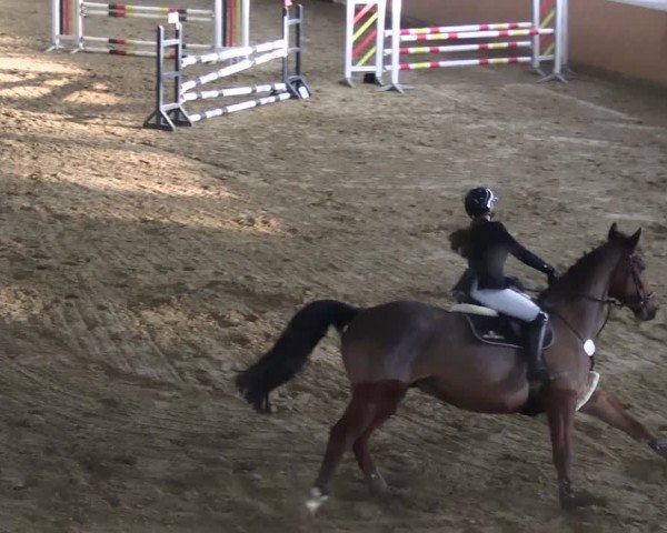 Reitturnier Datteln 2025