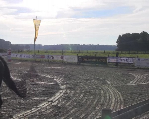 Reitstall Brinkmann 2013