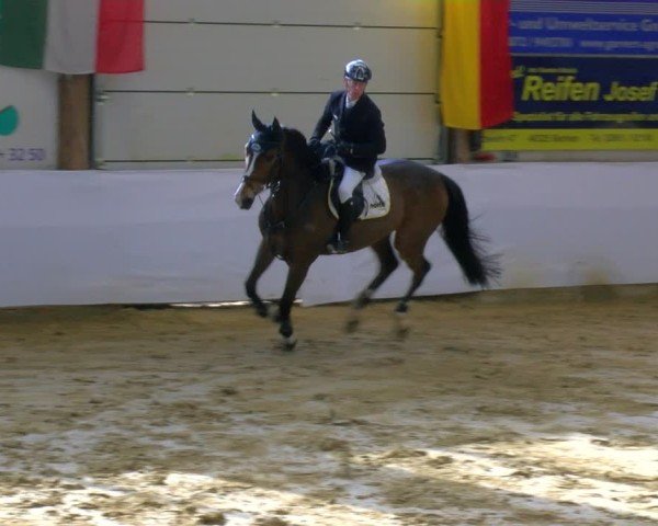 Reitturnier Borken 2025